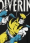 Preview: Wolverine - Adamantium