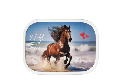 Preview: Campus Brotdose mit Bento-Einsatz und Gabel - Wild Horse