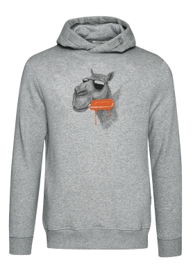 Animal Camel Star  - Heather Grey