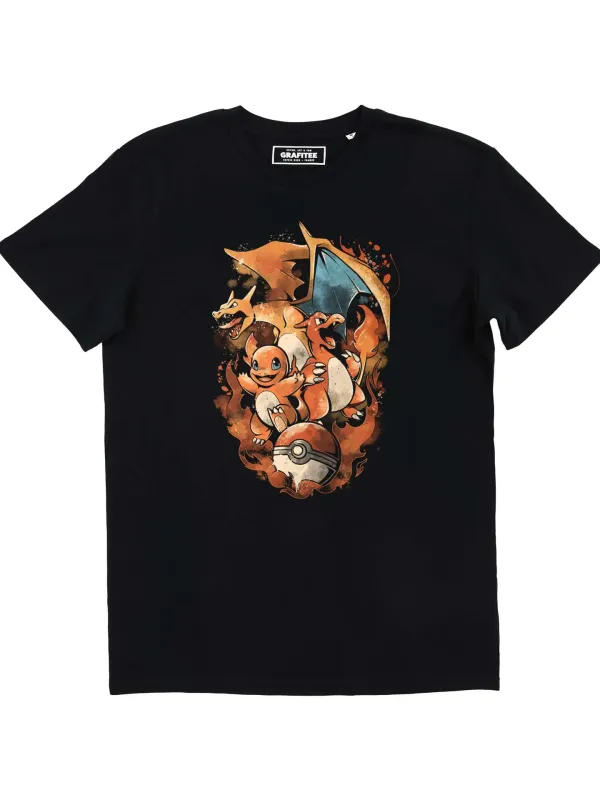 Pokémon Feuerentwicklung