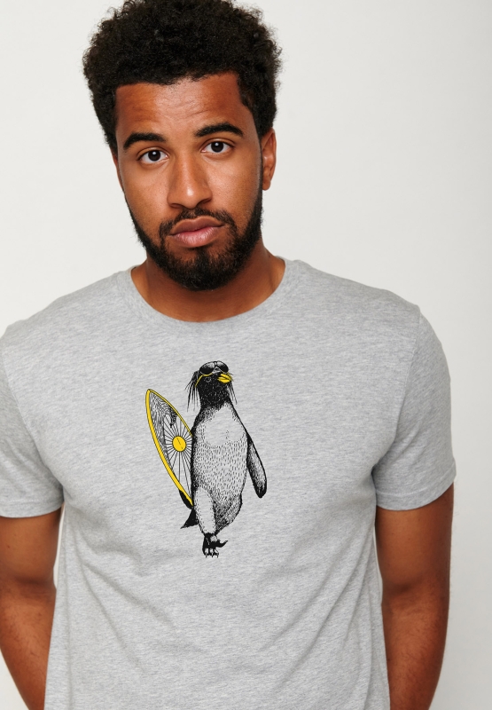 Animal-penguin-summer-guide - heathergrey