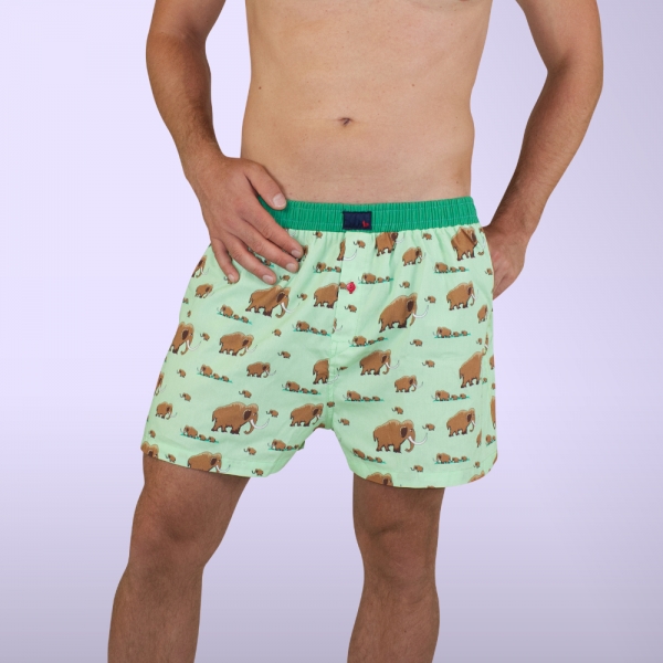 Boxershort - Mammut